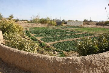 کوچه باغ راه میان جوب سمنان