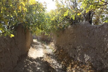 کوچه باغ راه میان جوب سمنان