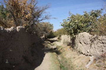 کوچه باغ راه میان جوب سمنان