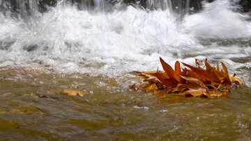 L’automne pluvieux de la cascade de Yassudj