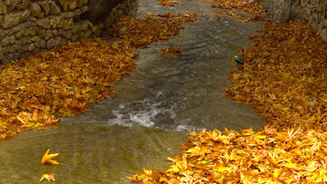 L’automne pluvieux de la cascade de Yassudj