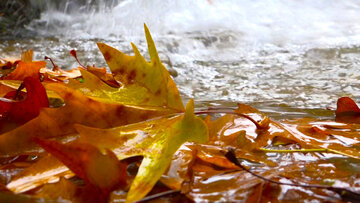 L’automne pluvieux de la cascade de Yassudj