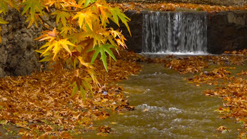 L’automne pluvieux de la cascade de Yassudj