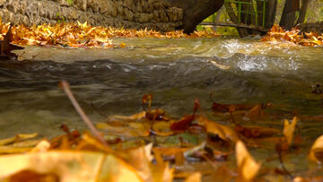 L’automne pluvieux de la cascade de Yassudj