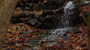 L’automne pluvieux de la cascade de Yassudj