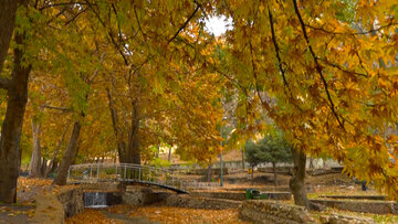 L’automne pluvieux de la cascade de Yassudj