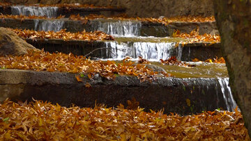 L’automne pluvieux de la cascade de Yassudj