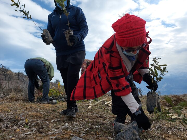 مشارکت جوامع محلی نیازی ضروری برای توسعه جنگلکاری در گلستان