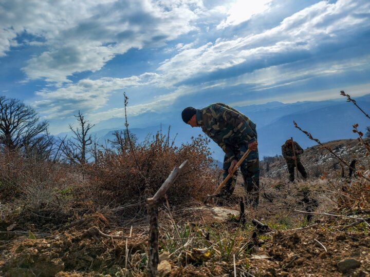 مشارکت جوامع محلی نیازی ضروری برای توسعه جنگلکاری در گلستان