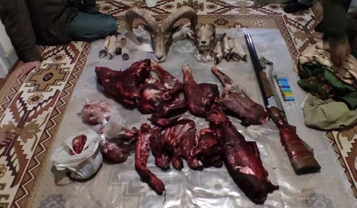 شکارچی غیرمجاز در پارک ملی گلستان دستگیر شد
