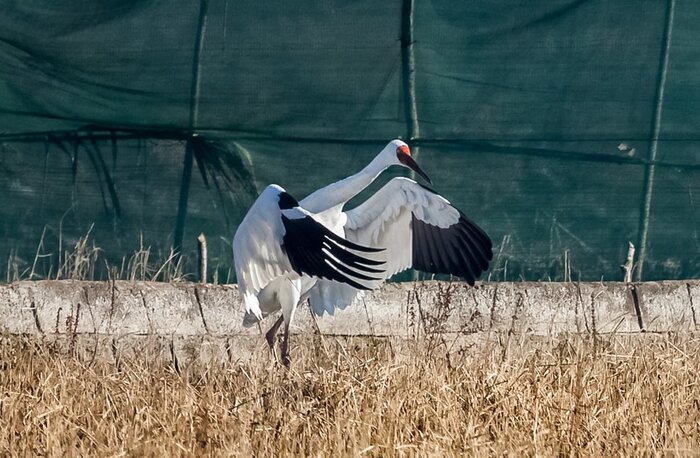 نگاهی به رویدادهای خبری محیط زیست و منابع طبیعی مازندران در سال ۱۴۰۰