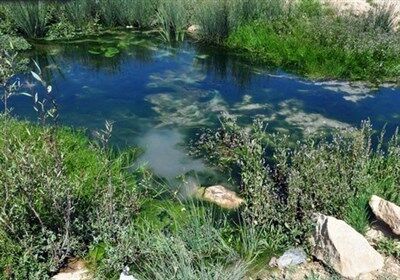 پروژه گردشگری آب رکنی شیراز آماده واگذاری به سرمایهگذار است پروژه گردشگری آب رکنی شیراز آماده واگذاری به سرمایهگذار است