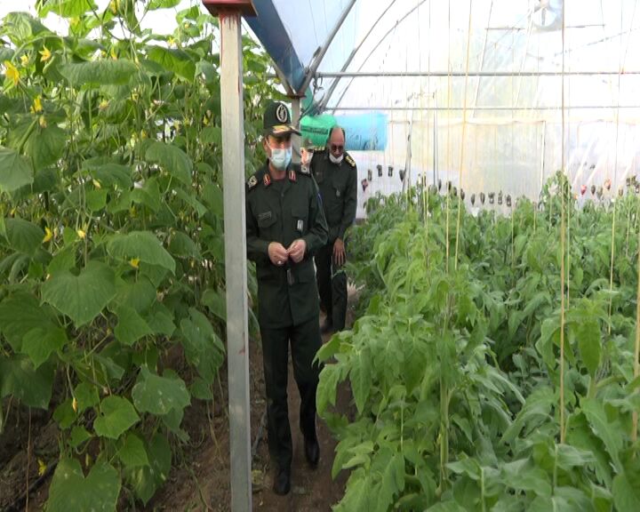 بهره‌برداری از ۴۰ طرح اقتصادی بسیج در استان اردبیل آغاز شد