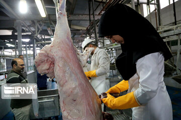 حدود ۶ تن گوشت فاسد در مهاباد معدوم شد