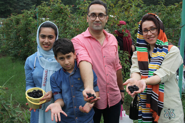 مشکلات مزارع گردشگری گلستان برای مشارکت در تولید؛ سایه سنگین کاغذبازی