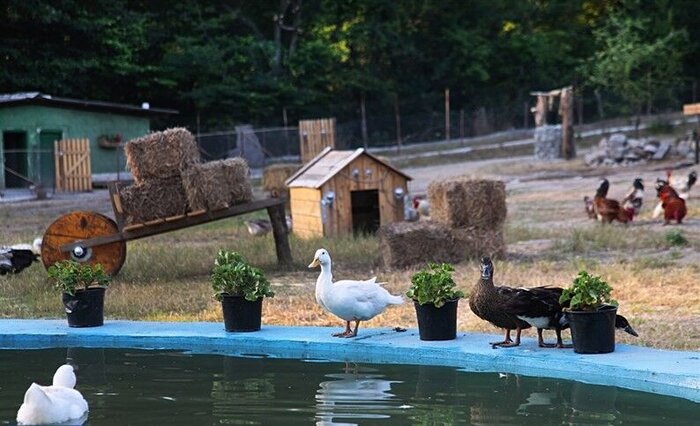 تبدیل گلستان به قطب گردشگری کشاورزی کشور نیازمند برنامهریزی