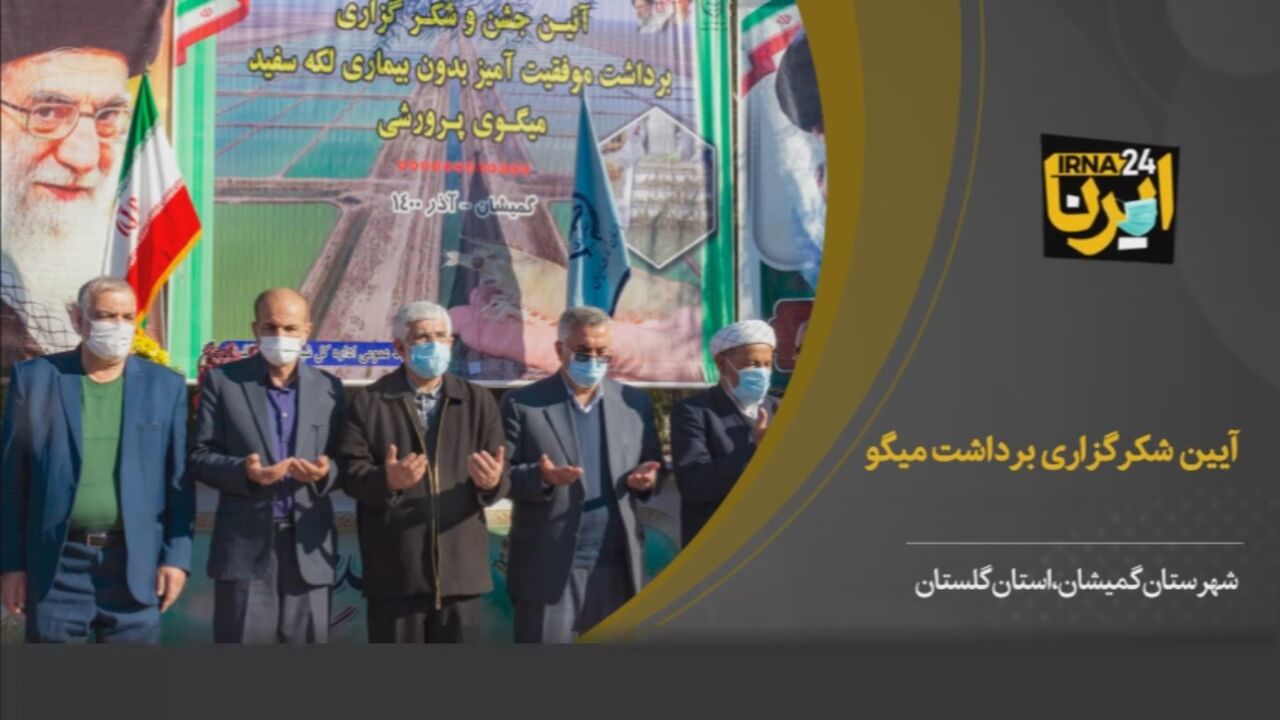 فیلم/ آیین شکرگزاری برداشت میگو در گمیشان استان گلستان