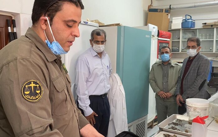 مرکز تخصصی تیمار و نگهداری وحوش در منطقه حله بوشهر افتتاح شد