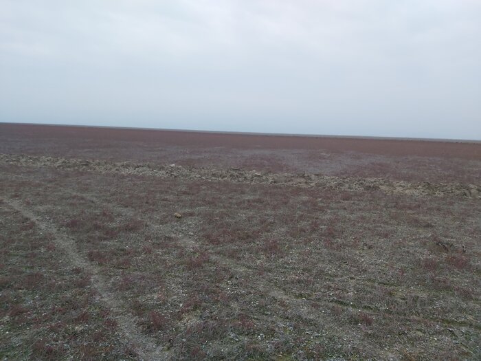 احیای زیستگاههای حیات وحش ماموریت مهم دولت در مازندران