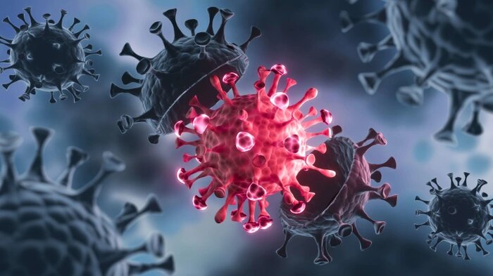 عفونتهای باکتریایی خطرناکتر هستند یا ویروسی؟