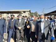 وزیر جهاد کشاورزی: نهاده دامی خام به کارخانه‌های فرآوری تحویل می‌شود