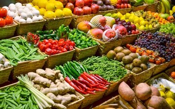 تولید بیش‌از چهار میلیون تن محصولات کشاورزی در سیستان و بلوچستان