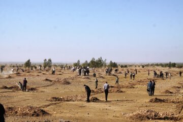 کاشت نهال  به یاد شهدا در مهران