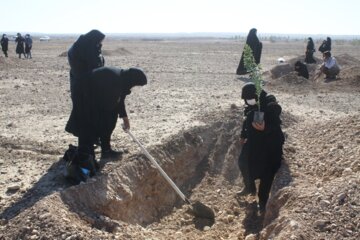 کاشت نهال  به یاد شهدا در مهران