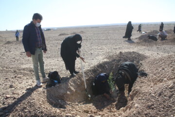 کاشت نهال  به یاد شهدا در مهران