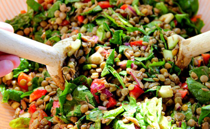 اعتبارسنجی مجوز مجری و کارت راهنما از الزامات گردشگری ماجراجویانه است