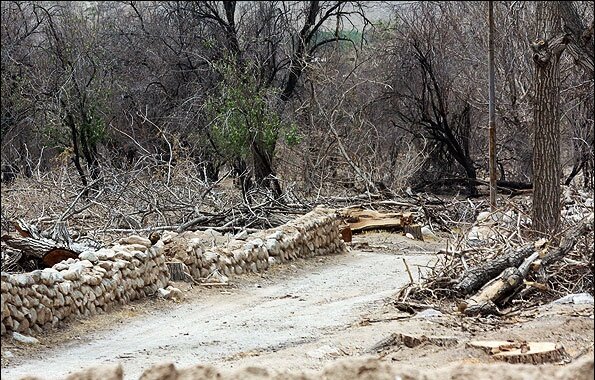 تشنه کامی ۲۲۰ روستا در دامنههای شیرکوه تفت