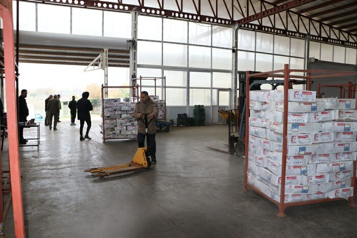 رزمایش احسان و همدلی با اهدای ۲۷ تن گوشت در گلستان آغاز شد