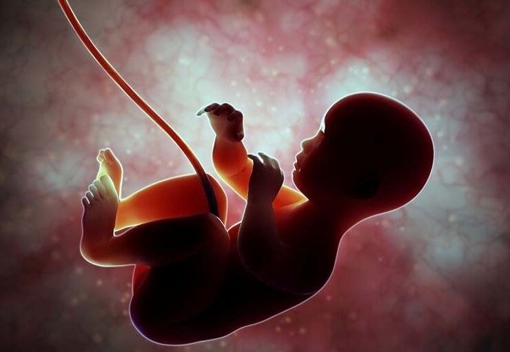 «سقط جنین» و تداوم بحث‌ها و نظرها؛ قانون به تنهایی کارساز است؟