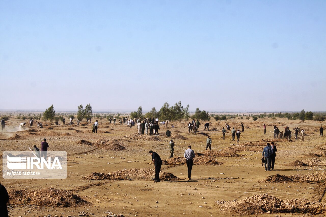 پویش نهالکاری در خراسان جنوبی آغاز شد