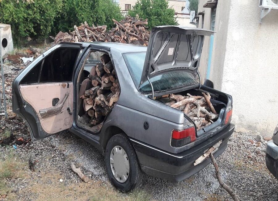 امسال ۹ فقره پرونده تخلف قطع درختان مثمر در بیجار تشکیل شد امسال ۹ فقره پرونده تخلف قطع درختان مثمر در بیجار تشکیل شد