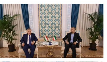 وزیران امورخارجه ایران و تاجیکستان دیدار و گفت و گو کردند