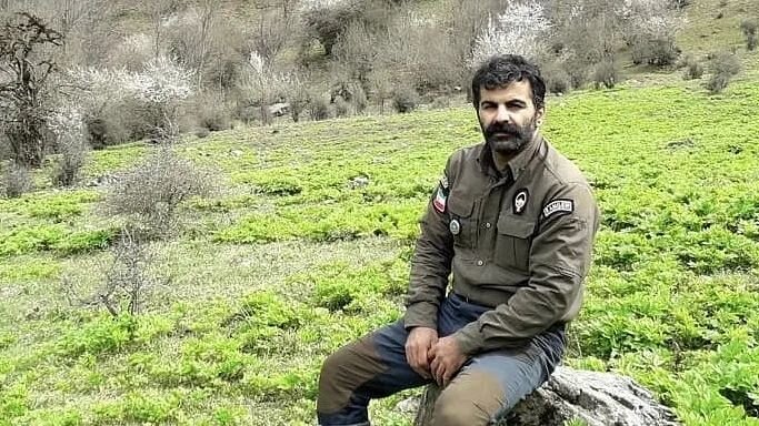 پشت پرده گفتوگوی محیطبان مازندرانی با خرس