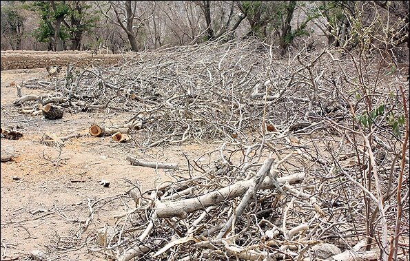 تشنه کامی ۲۲۰ روستا در دامنههای شیرکوه تفت