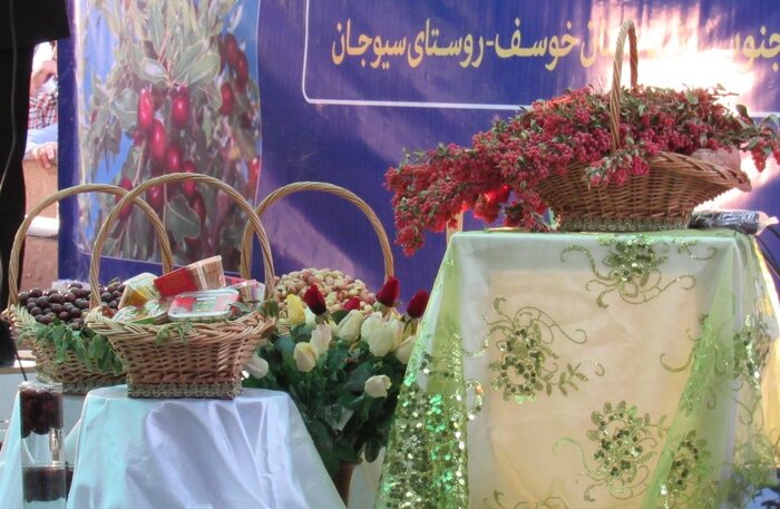 فصل پاییز و بهار گردشگری مزرعه در خراسان جنوبی