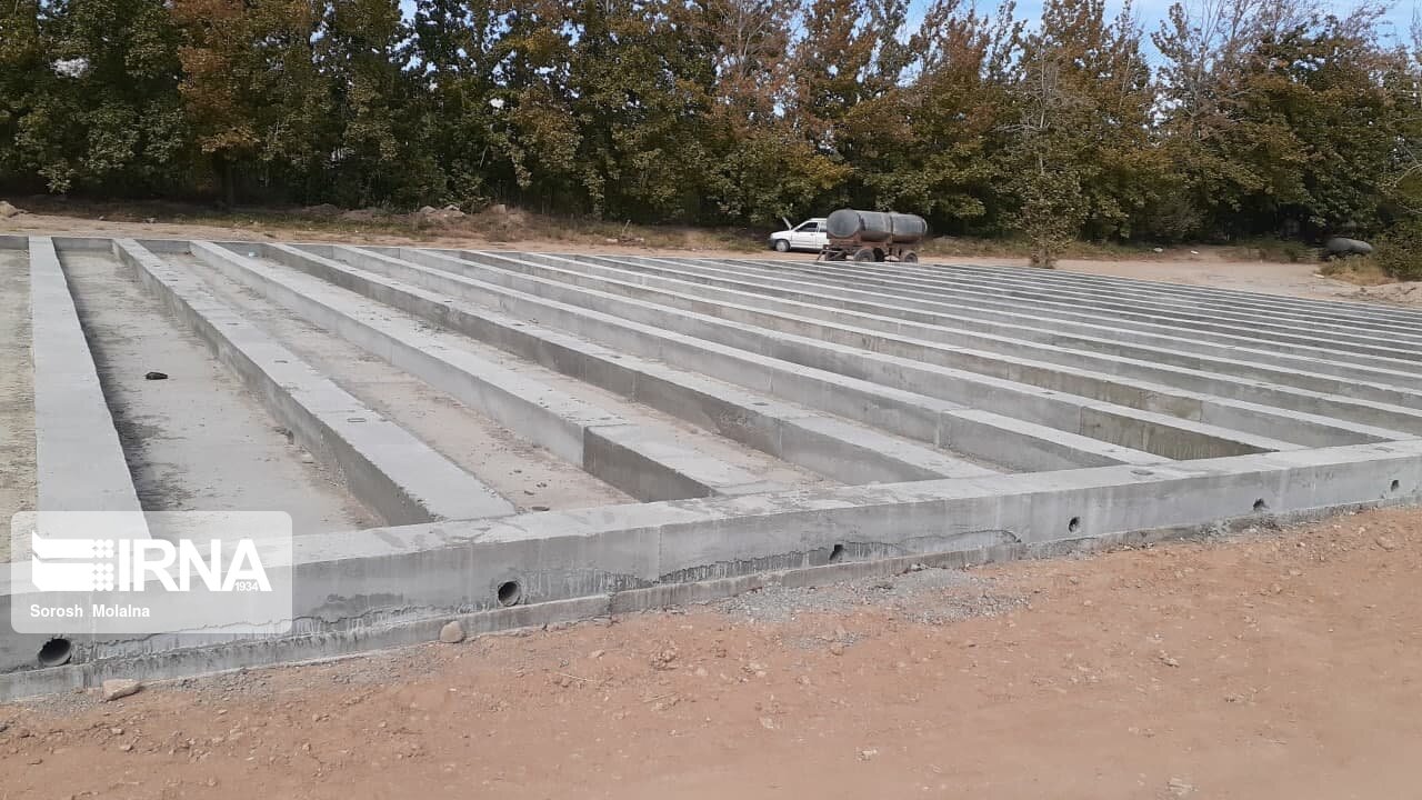 ۳۰هزار نهال گلدانی امسال در شاهرود کاشت میشود ۳۰هزار نهال گلدانی امسال در شاهرود کاشت میشود