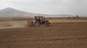 دانه روغنی کاملینا در سطح ۴۰۰ هکتار اراضی خراسان شمالی کشت شد