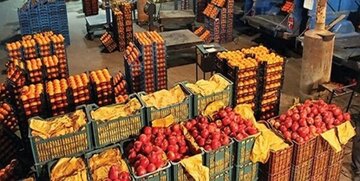 یکهزار و ۲۶۷ تن میوه عید در آذربایجان شرقی توزیع شد 