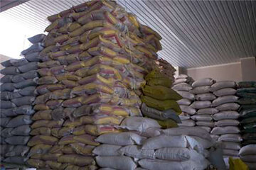 ۱۵۰ تن برنج قاچاق احتکاری در حاشیه مشهد کشف شد