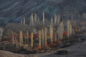 طبیعت پاییزی روستای چهرگان