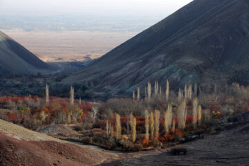 طبیعت پاییزی روستای چهرگان