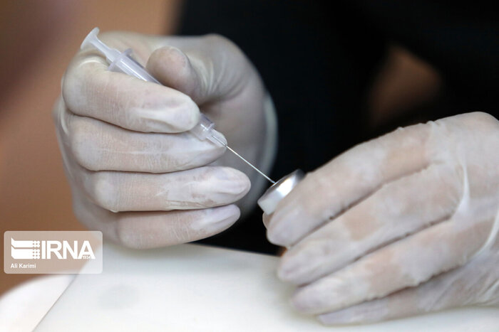 هزینه هنگفت گزش سگها و گربهها از جیب دولت