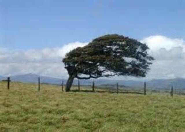 وضعیت نارنجی و  افزایش سرعت وزش باد بسیار شدید در استان فارس وضعیت نارنجی و  افزایش سرعت وزش باد بسیار شدید در استان فارس