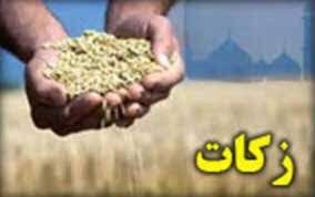 میزان زکات جمع آوری شده در استان زنجان  ۳۸ درصد رشد یافت