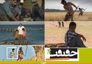 رقابت پنج اثر مستندسازان مازندرانی در سینماحقیقت پانزدهم