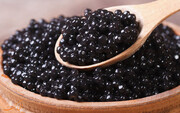 Les exportations du caviar ont permis à l’Iran d’engranger 16 millions de dollars